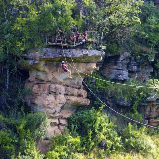 Gorge swing ud over kløften
